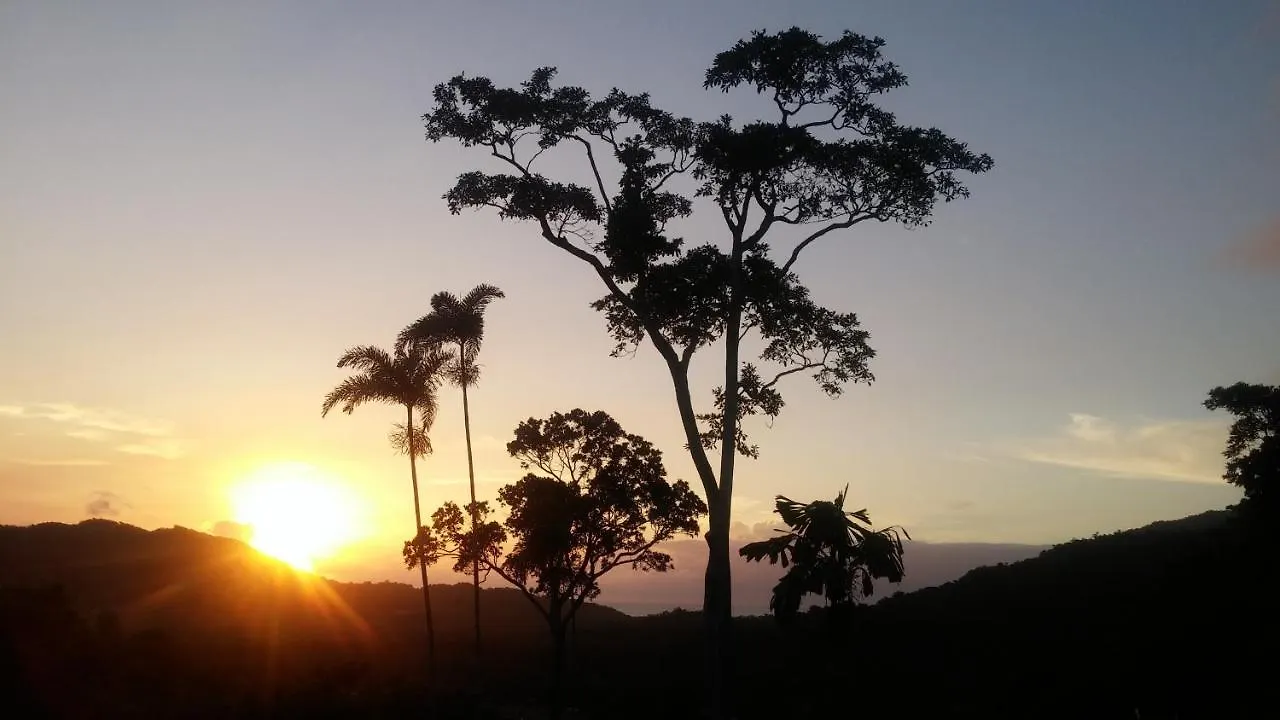 Daintree Holiday Homes - Yurara Cow Bay Australia